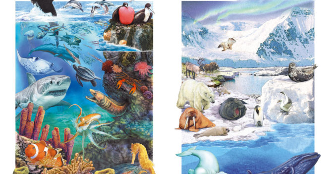 Illustrazioni naturalistiche